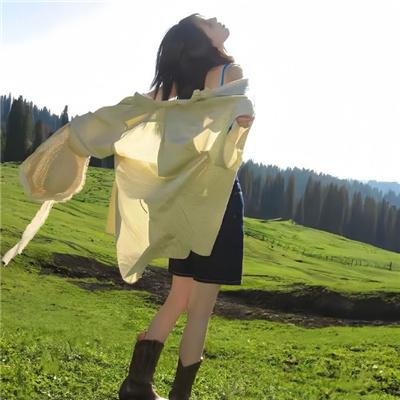 布莱德·彼特之再见艳阳天
